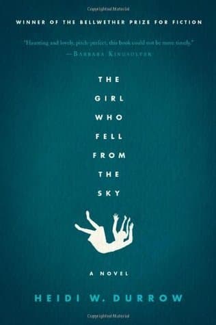 Cover image of The Girl Who Fell from the Sky