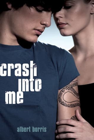 Cover image of Crash Into Me