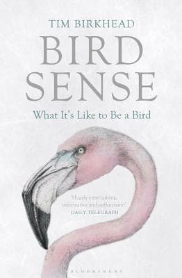Cover image of Bird Sense: What It's Like to Be a Bird