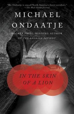 Cover image of In the Skin of a Lion