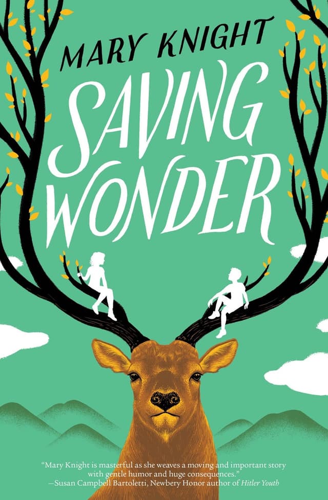 Cover image of Saving Wonder