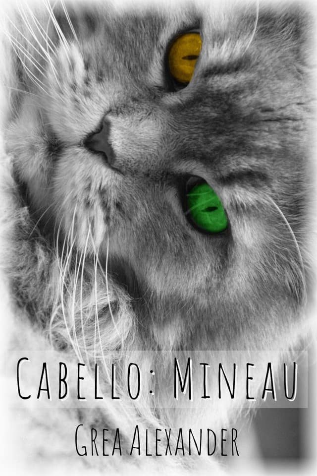 Cover image of Cabello: Mineau (Cabello #1)