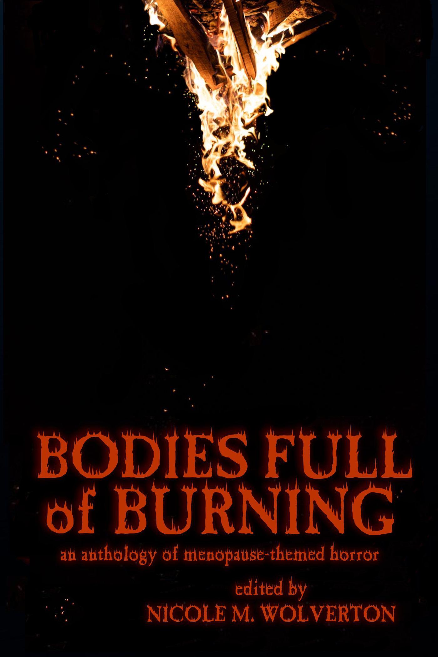 Cover image of Bodies Full of Burning