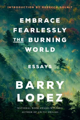 Cover image of Embrace Fearlessly the Burning World