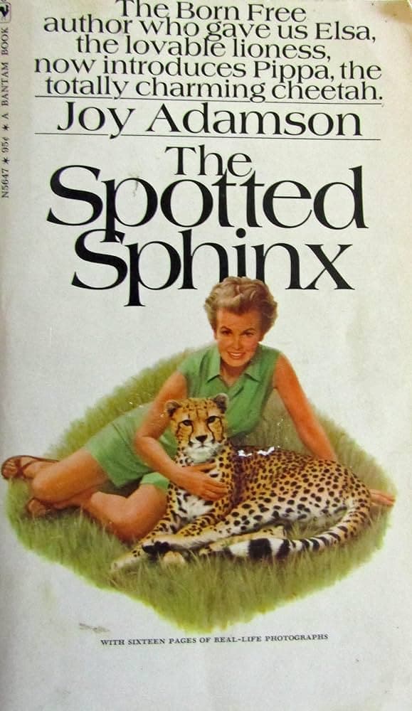 Cover image of The Spotted Sphinx